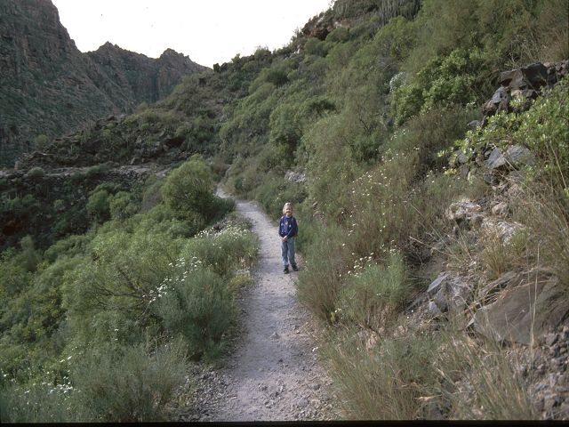 La Palma   Santa Cruz de La Palma   Caldera de Taburiente