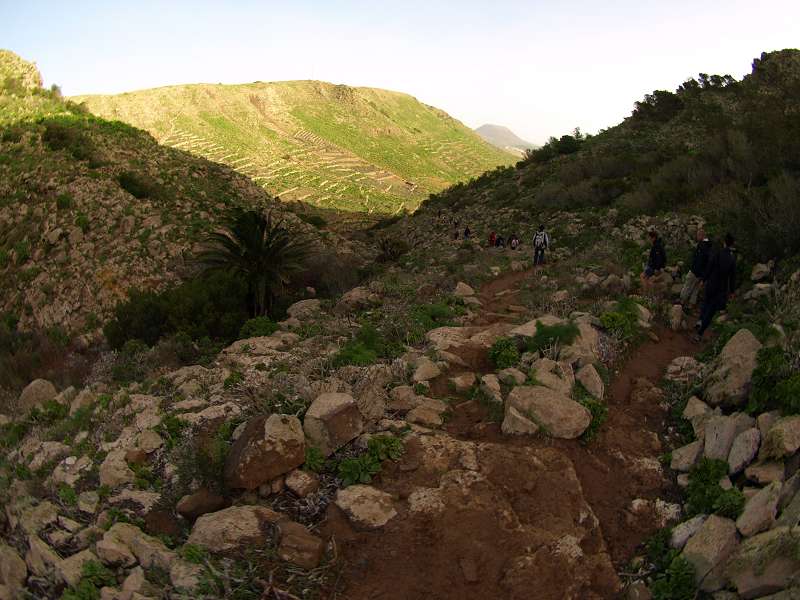 Lanzarote Wanderung nach Haria Tal der Tausend Palmen  Mirador Famara