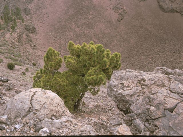 lapalma vulkan calderawanderung