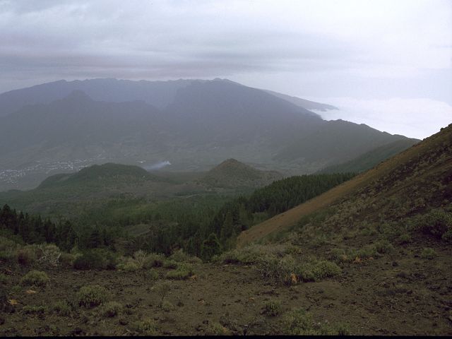 La Palma  Drachenbume El Pinar 