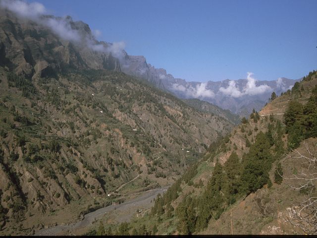 Caldera der Taburiente 