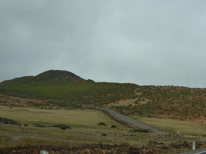    Madeira  Lorbeerwlder Laurasilva Lorbeerwald  Madeira   Cabo  Madeira  Lorbeerwlder Laurasilva Lorbeerwald 