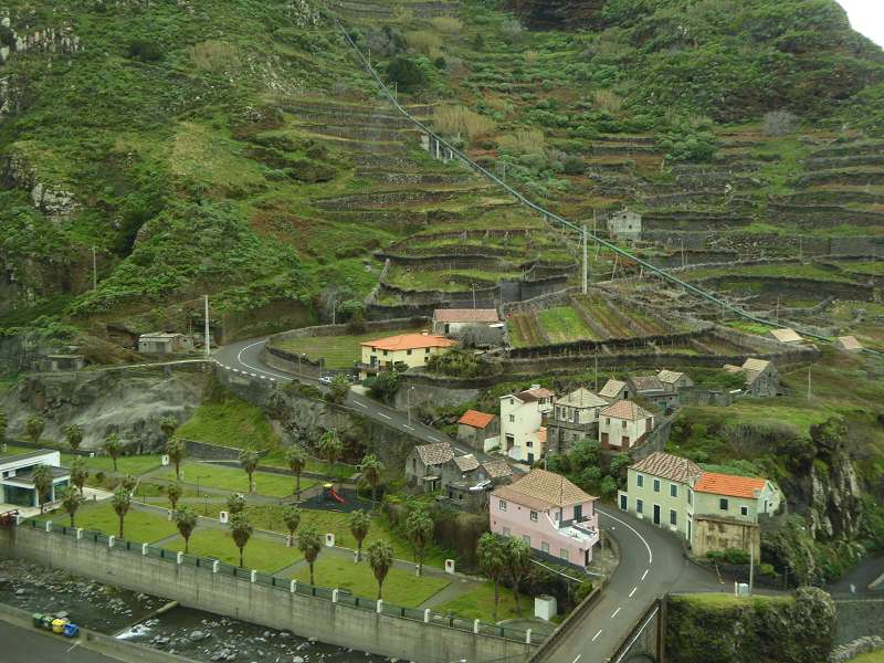 Madeira   Prego do mar Felsnadel Rock/Rocha da Vela