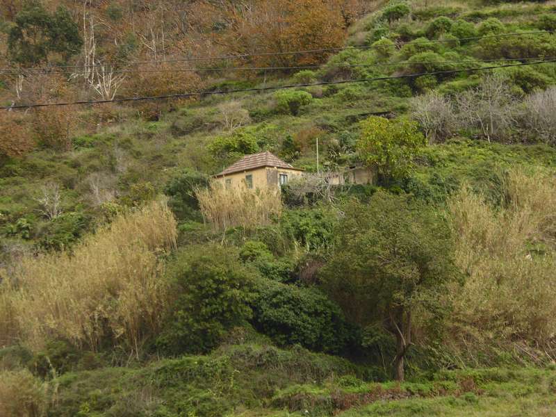    Madeira   Landschaft  Madeira     Landschaft 