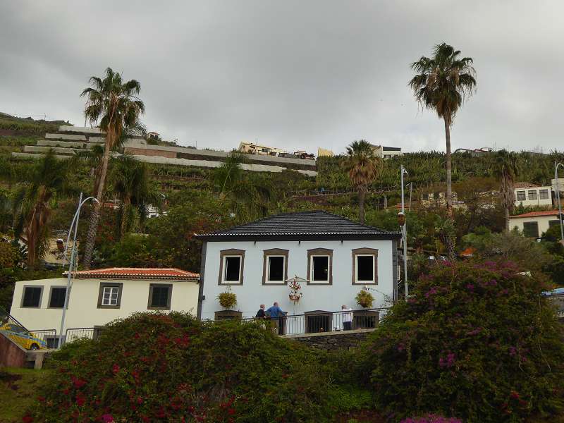 Madeira   camara de lobos Bucht der Seelwen Churchillbucht der madeirensische Fischerort Lieblingsort von Winston Churchill