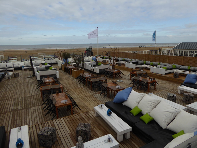 Scheveningen Seesterne nach dem Sturm Seestern