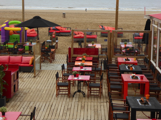 Scheveningen Seesterne nach dem Sturm Seestern