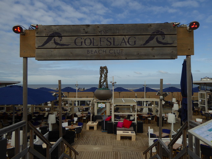 Scheveningen Seesterne nach dem Sturm Seestern