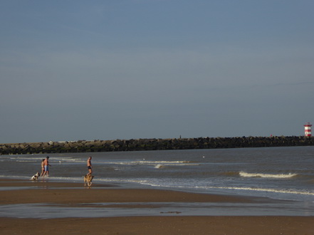 Scheveningen Beach 2016 Scheveningen Beach 2016  Paasswim 2016