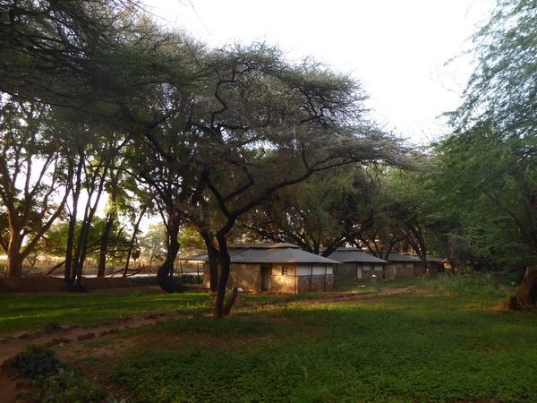  Samburu Nationalpark Samburu Nationalpark Larsens Camp