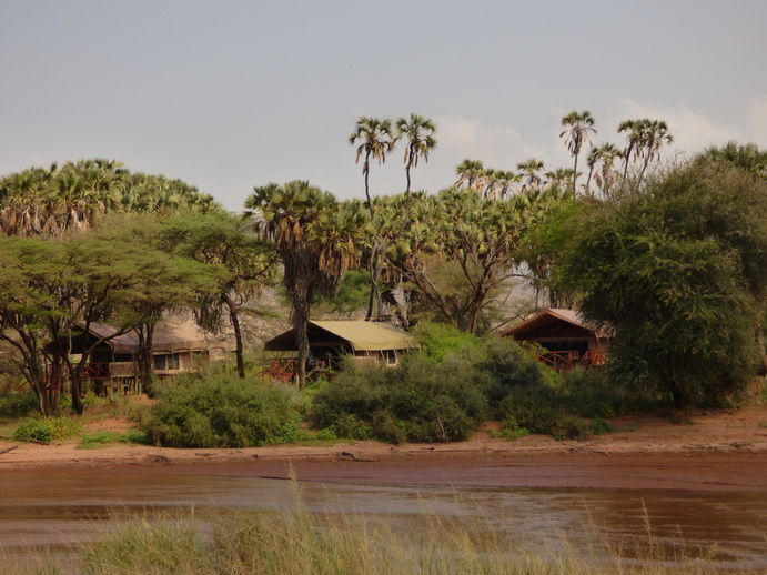 Samburu Nationalpark  ashnil Camp