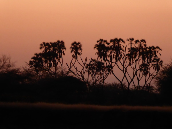   Samburu Nationalpark Larsens CampSamburu Nationalpark Samburu Nationalpark Larsens Camp