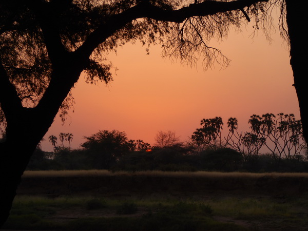   Samburu Nationalpark Larsens CampSamburu Nationalpark Samburu Nationalpark Larsens Camp