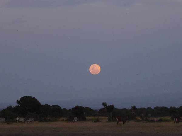 Mount Kenya National Park: