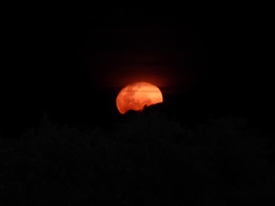   The Ark  in Kenia Aberdare National Park   Moon The Ark  in Kenia Aberdare National Park   Moon 