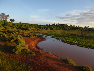   The Ark  in Kenia Aberdare National Park  Sundowner The Ark  in Kenia Aberdare National Park  Sundowner 