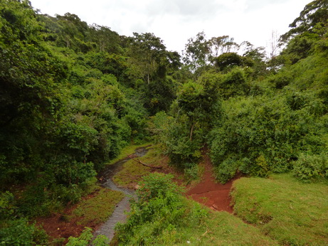   The Ark  in Kenia Aberdare National ParkThe Ark  in Kenia Aberdare National Park