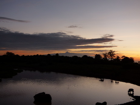 The Ark  in Kenia Aberdare National Park  Buffalo-Sundowner 