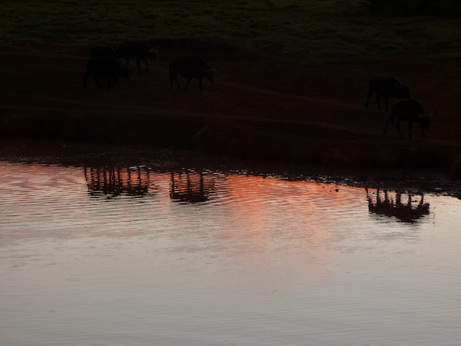 The Ark  in Kenia Aberdare National Park   Moonlake Mt Kenia