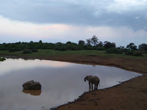 The Ark  in Kenia Aberdare National Park  