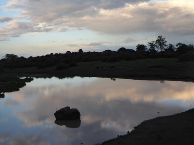 The Ark  in Kenia Aberdare National Park tembo Elefant lake