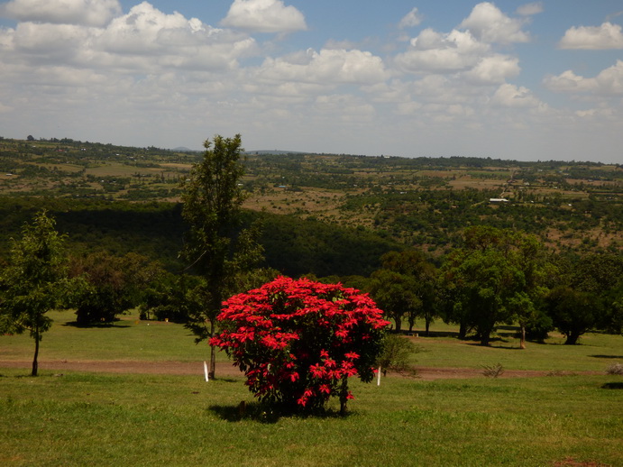 Aberdare Country Club 