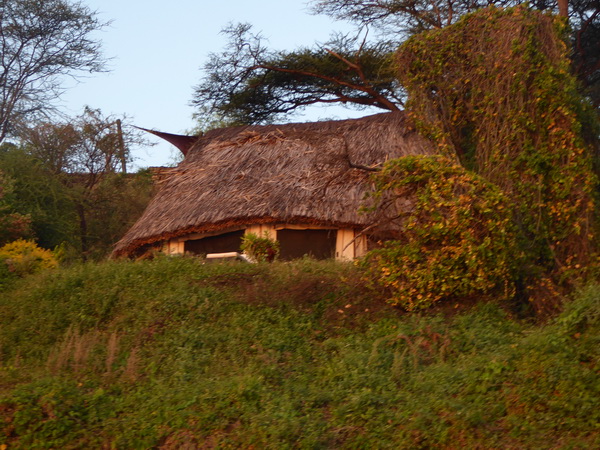 Kenia  Lake Baringo Island Camp Boatsafari