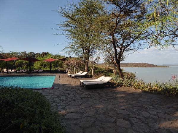  Kenia  Lake Baringo Island Camp Pool