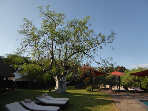  Kenia  Lake Baringo Island Camp Pool