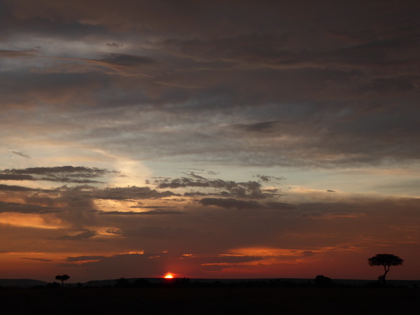 Masai Mara  Landscape