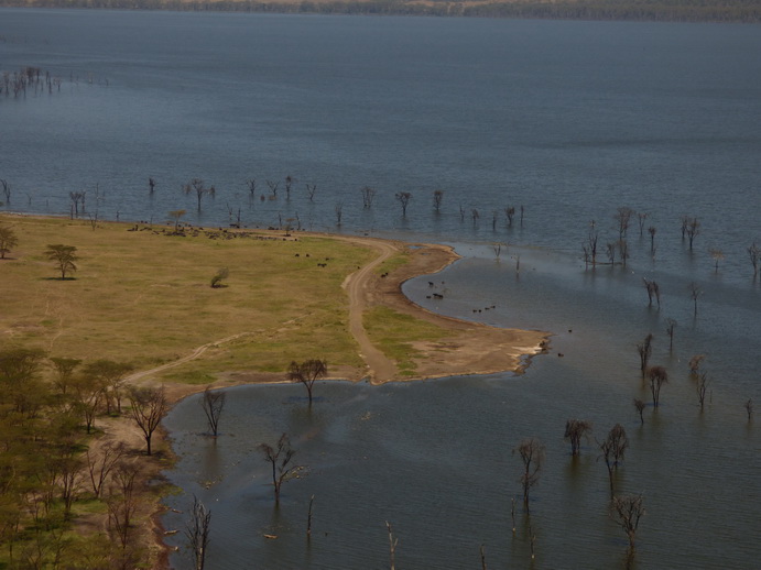 Lake Nakuru Baboon Lookout