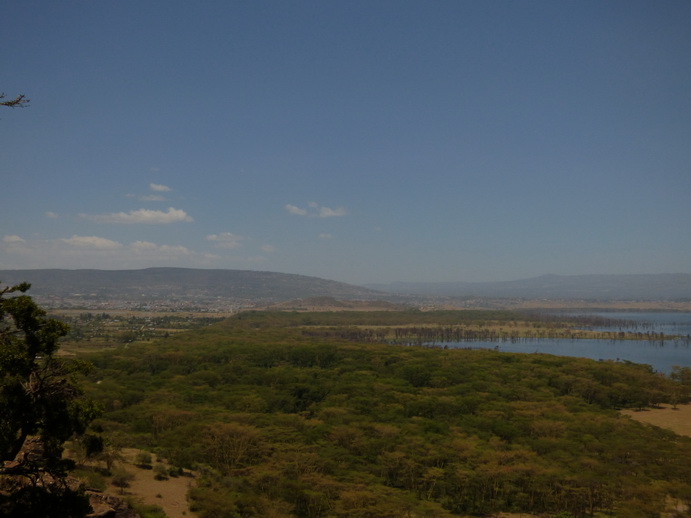 Lake Nakuru Baboon Lookout