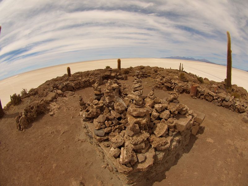 Isla de Pescado Isla Incahuasi  12 m+1200 Jahre alte Kakteen Uyuni Reserva del Salar Incahuasi