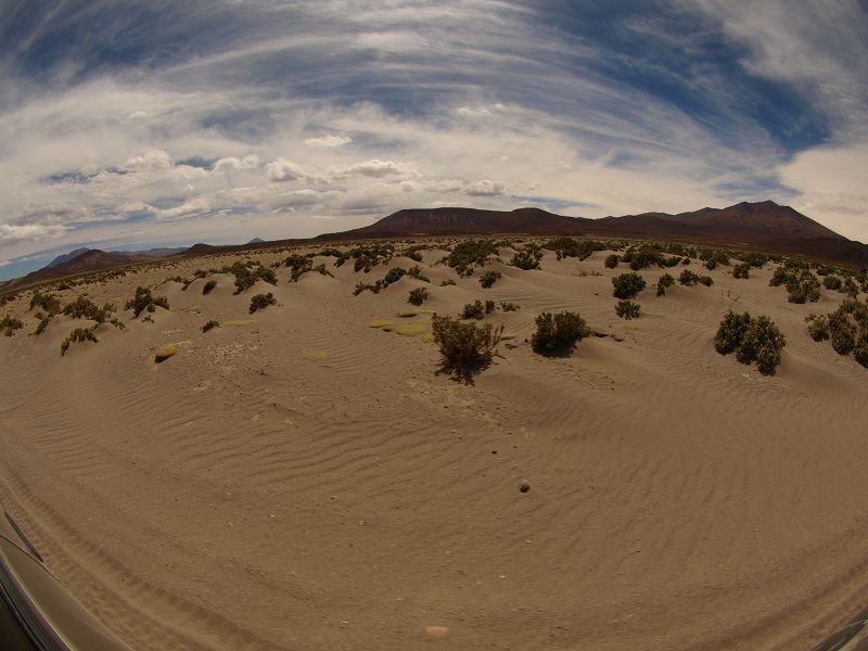 Eduardo Avaroa National Reserve of Andean Fauna