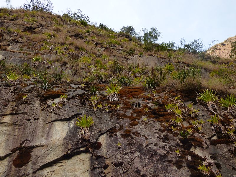 Machu Picchu Temple Urubambatal Wanderung 