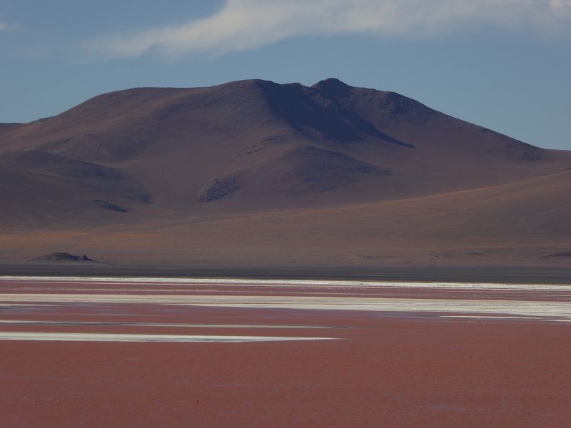 Laguna Pasto Grande Bolivien Uyuni 4x4 Salzsee Saltlake Pasto Grande Flamencos Flamingos