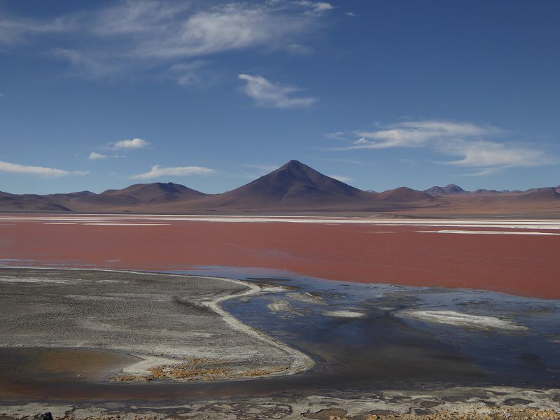 Laguna Pasto Grande Bolivien Uyuni 4x4 Salzsee Saltlake Pasto Grande Flamencos Flamingos