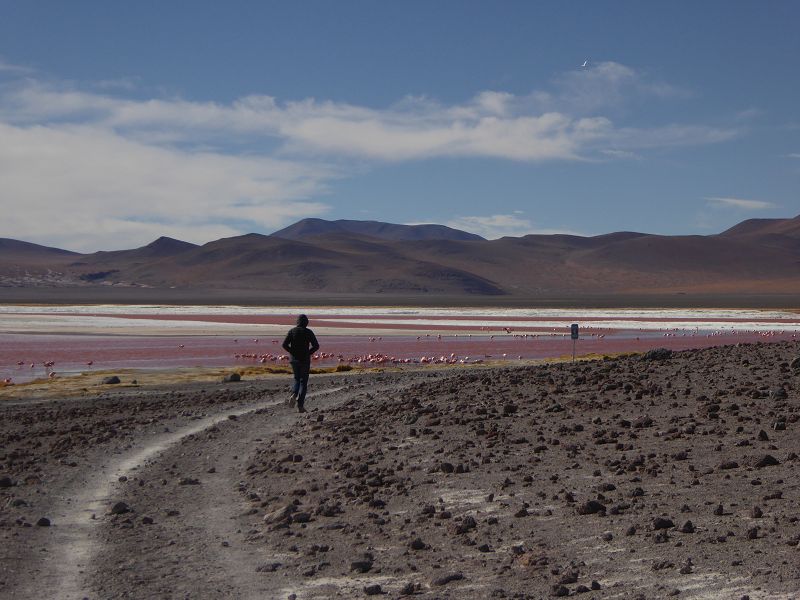 Laguna Pasto Grande Bolivien Uyuni 4x4 Salzsee Saltlake Pasto Grande Flamencos Flamingos