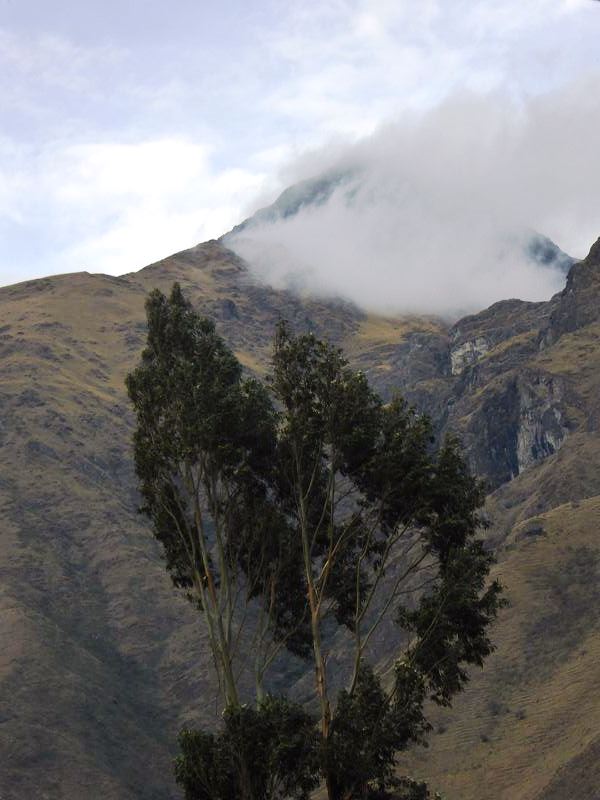 Aquas Calientes nach  Cusco 