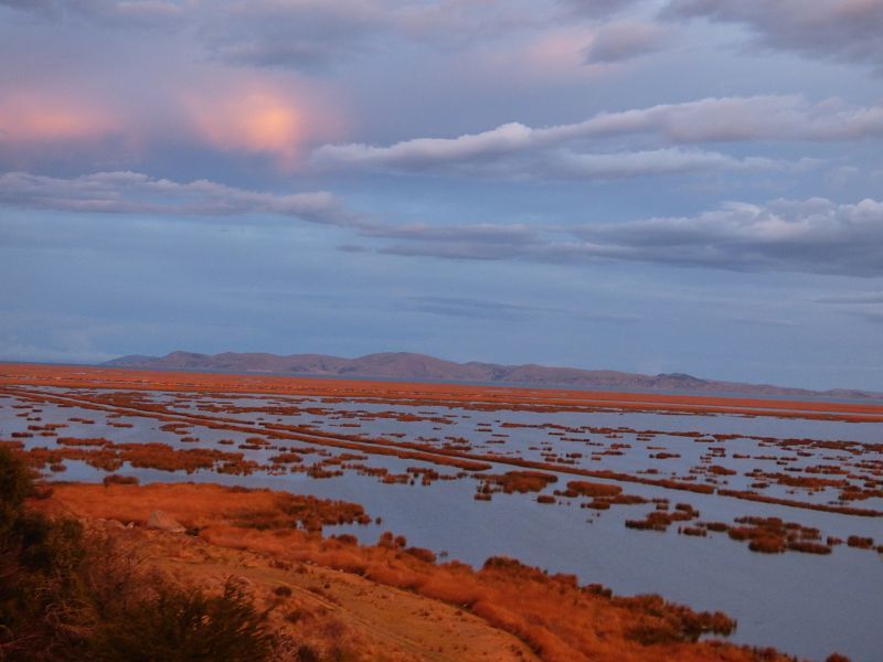 Lago Titicaca Titicacasee Schilfinseln Uros 