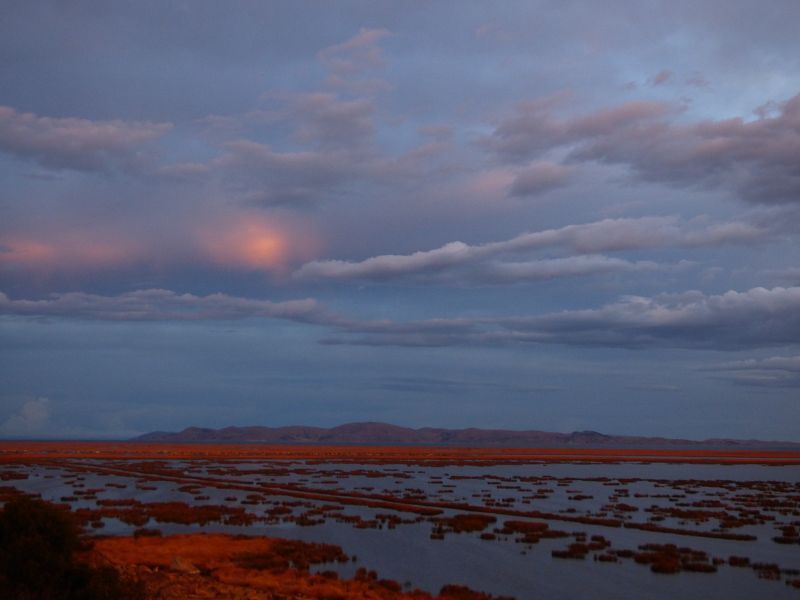 Lago Titicaca Titicacasee Schilfinsen Uros 