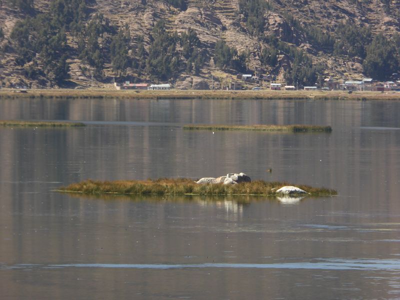 lake titicaca