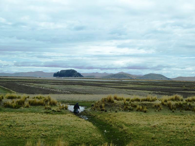 Landwirtschaft puno