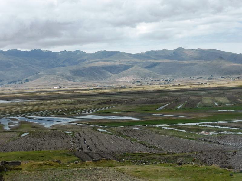 farming fields lake titikaka