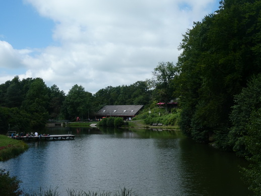 wandern mit Alpakawandern mit Alpaka  