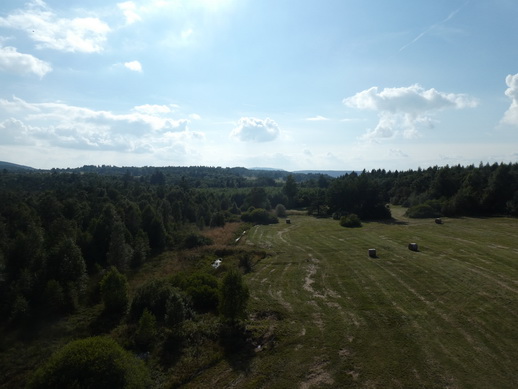 Rhönmoor  Wanderweg moorwanderung schwarzes Moor 