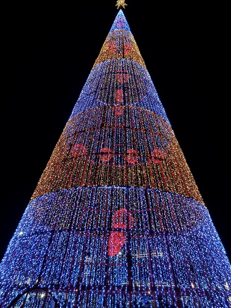 Madeira 2017 Christmastree Weihnachtsbaum Madeira 2017 Christmastree Weihnachtsbaum  Weihnachtsschmuck 