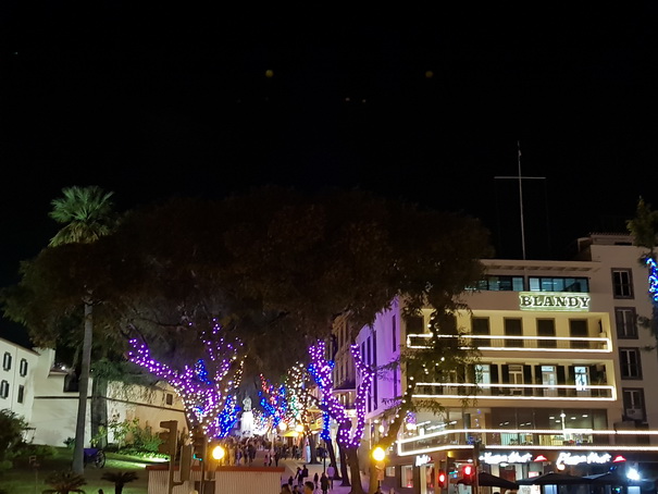 Madeira 2017 Christmastree Weihnachtsbaum Madeira 2017 Christmastree Weihnachtsbaum  Weihnachtsschmuck 