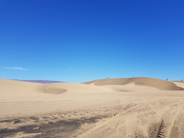 Gran Canaria Meloneras Maspalomas Dunes 