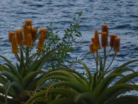 Gran Canaria Beach Playa de El Confital 